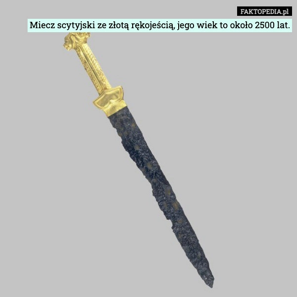 
    Miecz scytyjski ze złotą rękojeścią, jego wiek to około 2500 lat.