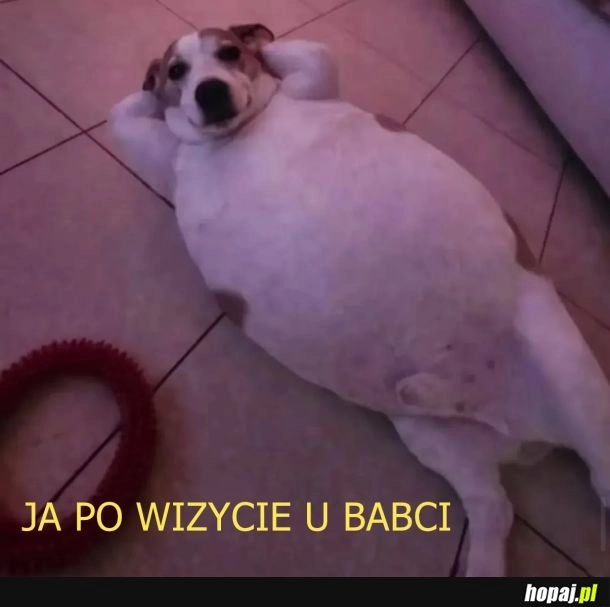 
    Zadzwoń do babci i powiedz ze jest super