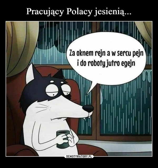 
    Pracujący Polacy jesienią...