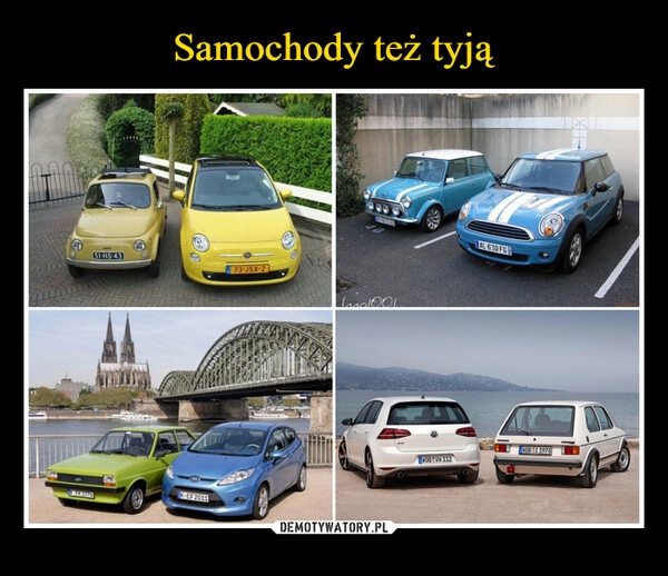 
    Samochody też tyją