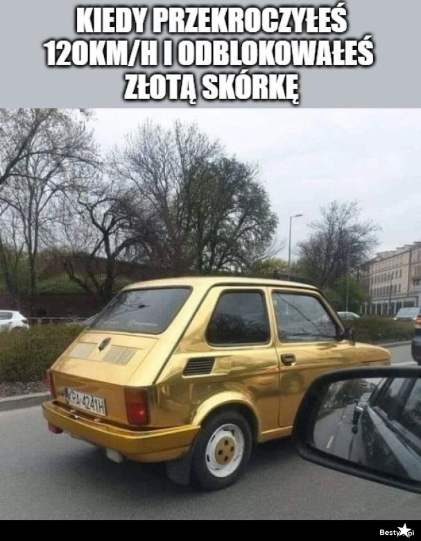 
    Złota skórka 