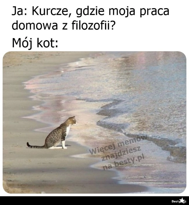 
    Kot podpier*olił 