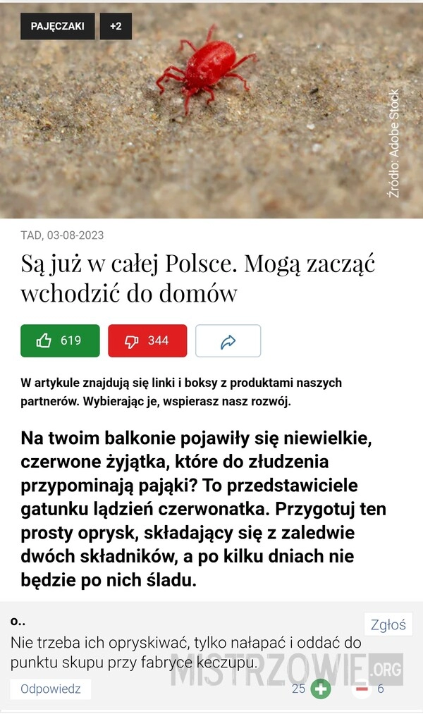 
    Pajęczaki