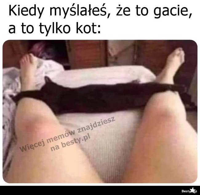 
    Znalazł sobie pozycję i miejsce 