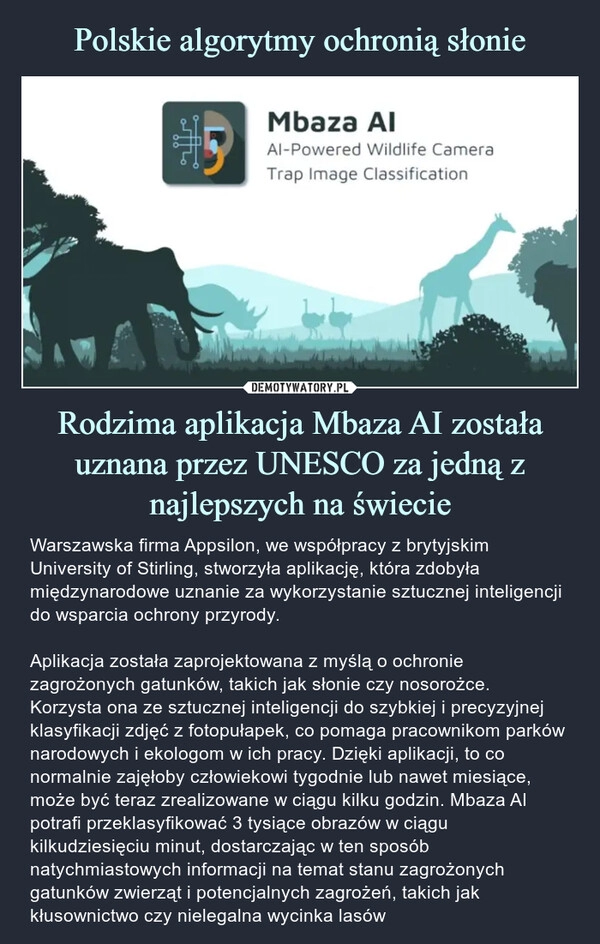 
    Polskie algorytmy ochronią słonie Rodzima aplikacja Mbaza AI została uznana przez UNESCO za jedną z najlepszych na świecie