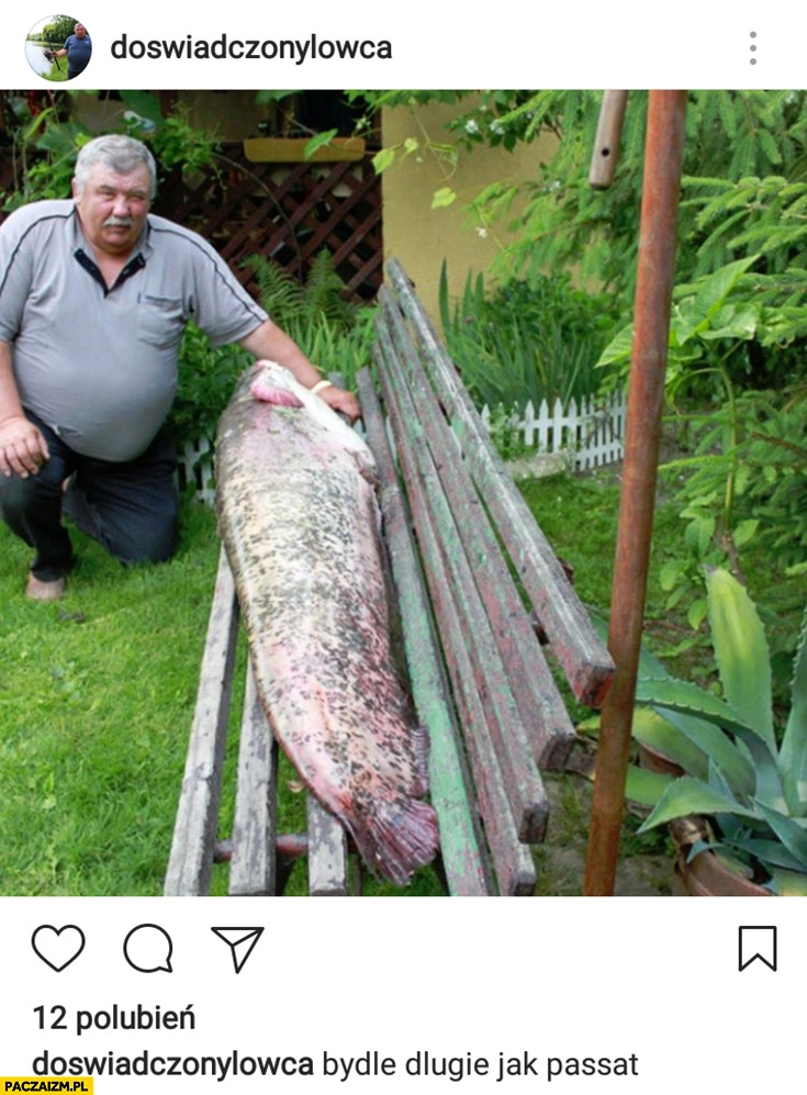 
    Bydle długie jak Passat Janusz wędkarz z rybą doświadczony łowca