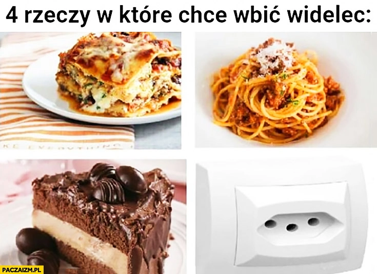 
    4 rzeczy w które chcę wbić widelec: jedzenie, gniazdko elektryczne kontakt