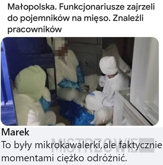 
    Pojemniki