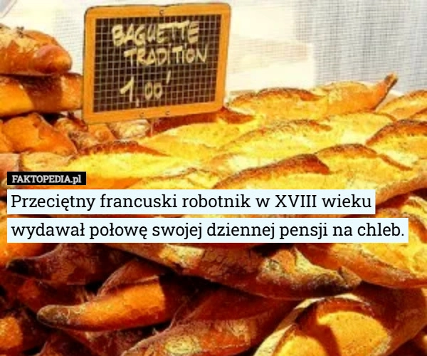 
    Przeciętny francuski robotnik w XVIII wieku wydawał połowę swojej dziennej...