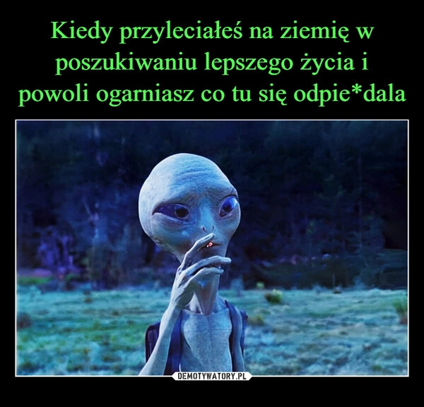 
    Kiedy przyleciałeś na ziemię w poszukiwaniu lepszego życia i powoli ogarniasz co tu się odpie*dala