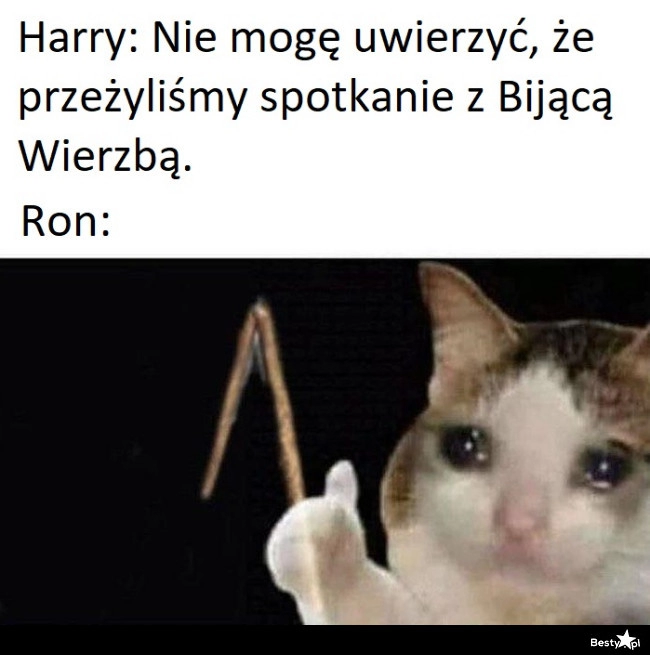 
    Bijąca Wierzba 