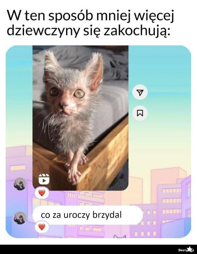 
    Jak zakochują się dziewczyny 