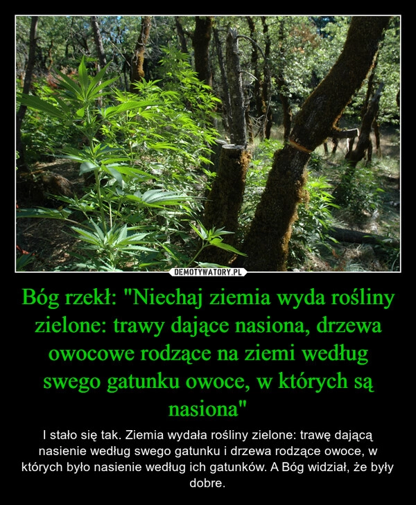 
    Bóg rzekł: "Niechaj ziemia wyda rośliny zielone: trawy dające nasiona, drzewa owocowe rodzące na ziemi według swego gatunku owoce, w których są nasiona"