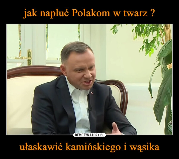 
    jak napluć Polakom w twarz ? ułaskawić kamińskiego i wąsika