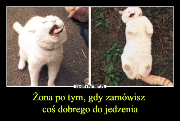 
    Żona po tym, gdy zamówisz 
coś dobrego do jedzenia