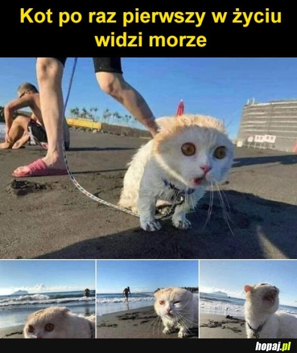 
    Pierwszy raz