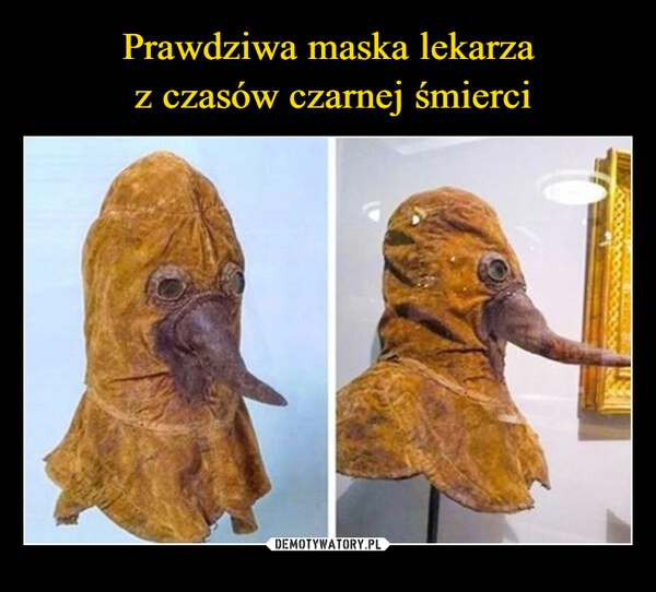 
    Prawdziwa maska lekarza
 z czasów czarnej śmierci