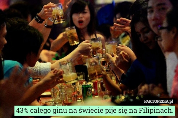 
    43% całego ginu na świecie pije się na Filipinach.