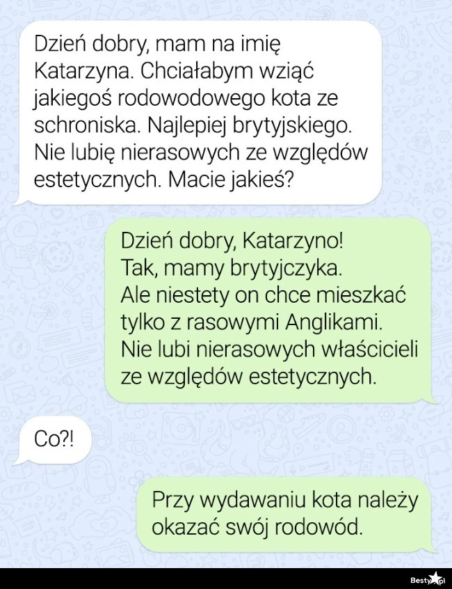 
    Rodowodowy kot 