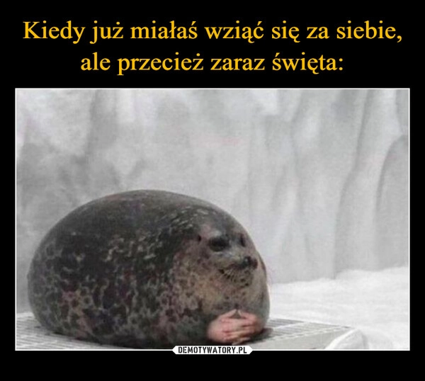 
    Kiedy już miałaś wziąć się za siebie, ale przecież zaraz święta: