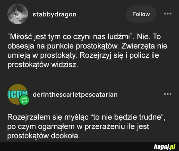 
    Prostokąty