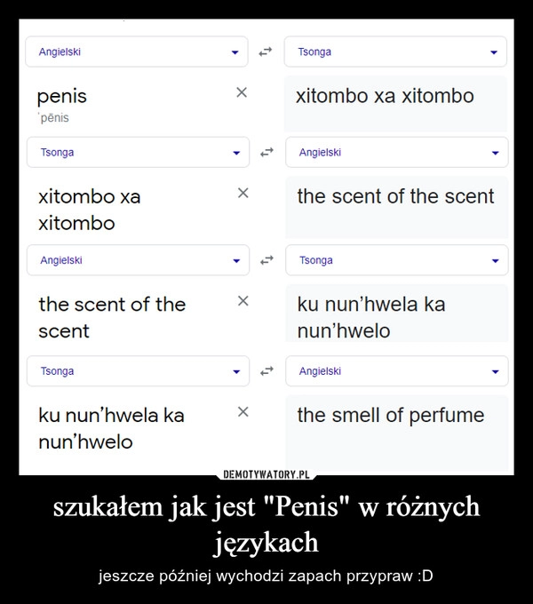 
    szukałem jak jest "Penis" w różnych językach 