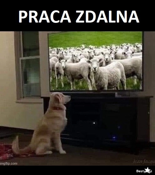 
    Praca zdalna 