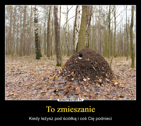 
    To zmieszanie 