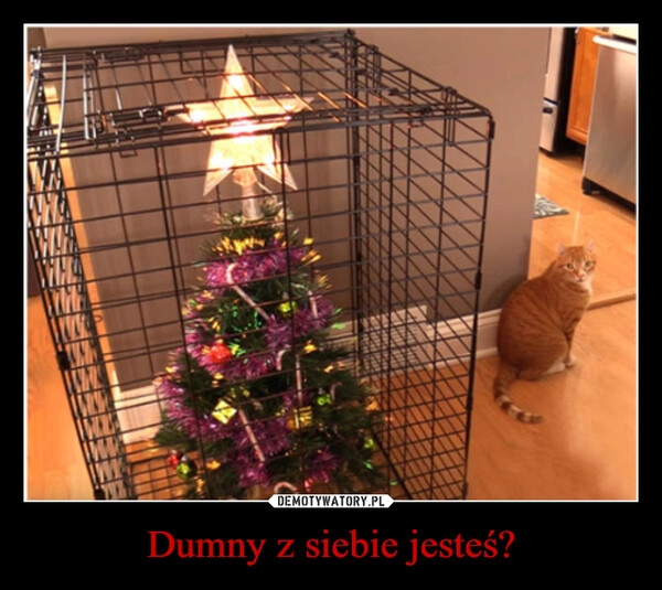 
    Dumny z siebie jesteś?