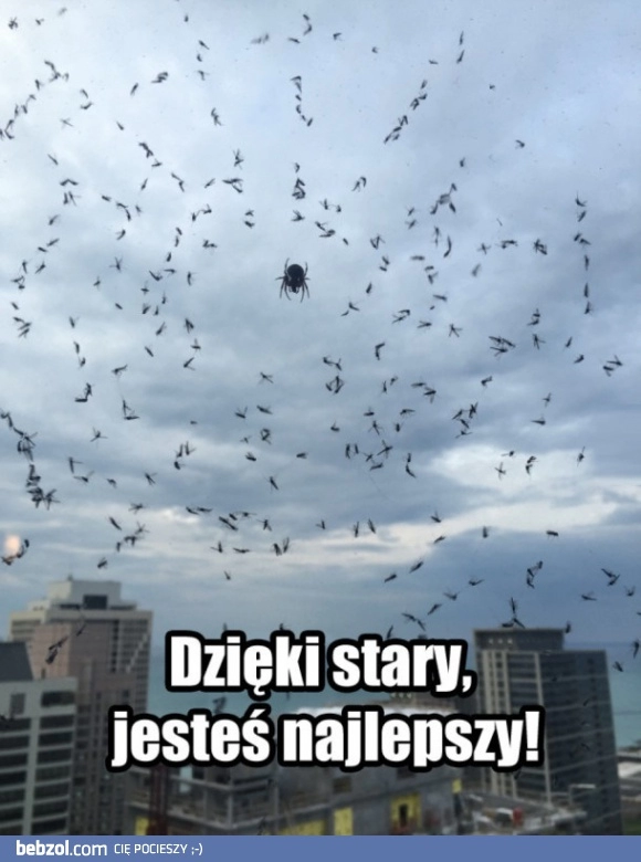 
    Dzięki stary 