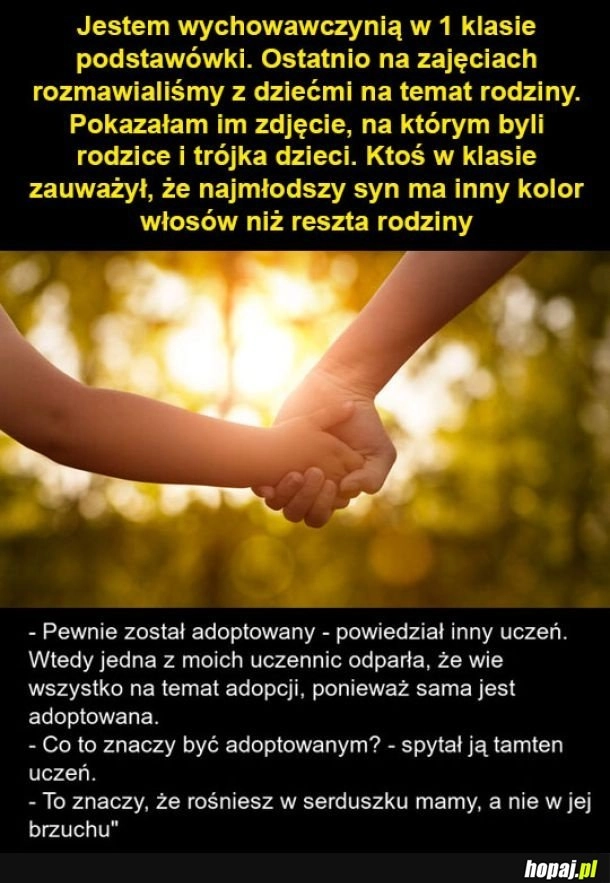 
    Jakie piękne podsumowanie adopcji