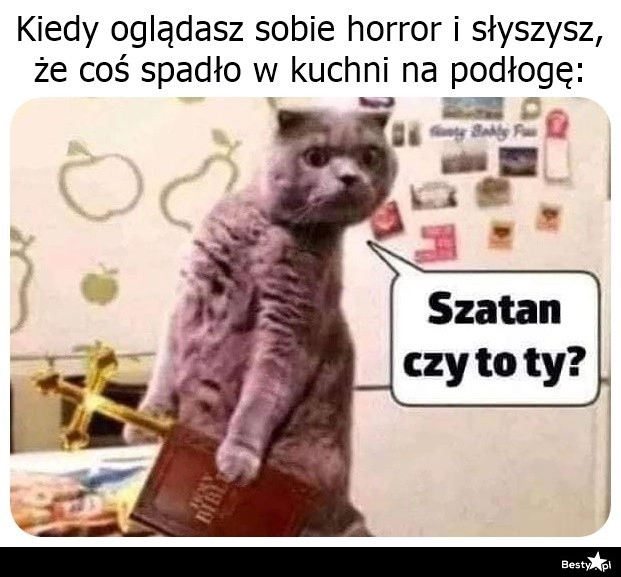 
    To się porobiło 