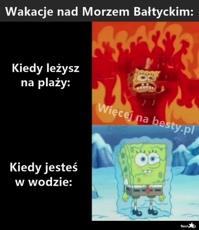 
    Wakacje nad Morzem Bałtyckim 