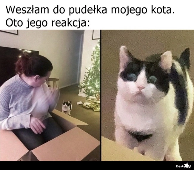 
    Przejęcie pudełka 