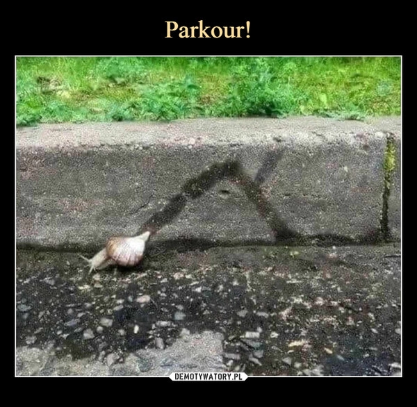 
    Parkour!