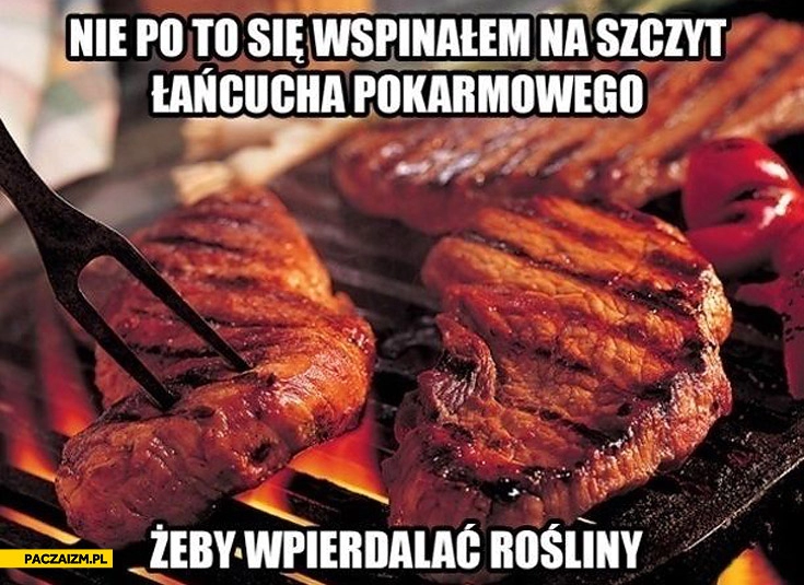 
    Nie po to się wspinałem na szczyt łańcucha pokarmowego żeby wpierdalać rośliny