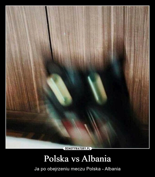 
    Polska vs Albania