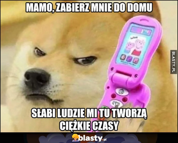 
    Mamo zabierz mnie do domu, słabi ludzie mi tu tworzą ciężkie czasy pies pieseł doge