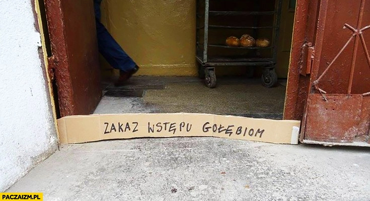 
    Zakaz wstępu gołębiom tekturka blokada napis na kartonie