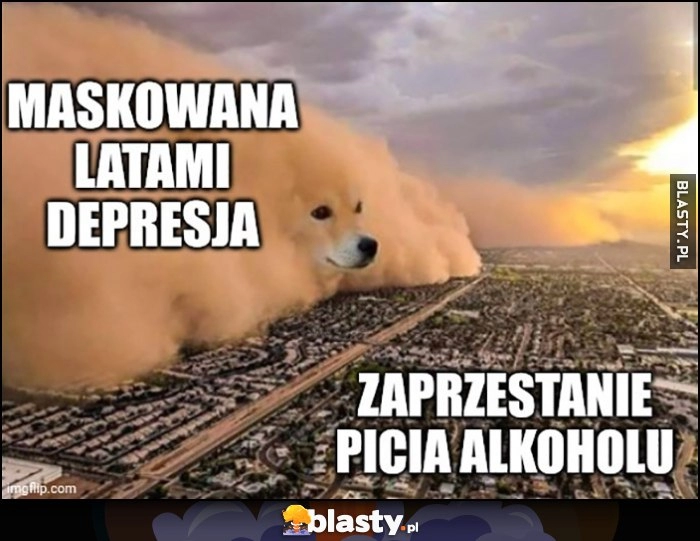 
    Maskowana latami depresja vs zaprzestanie picia alkoholu burza pieskowa pies pieseł doge piesek