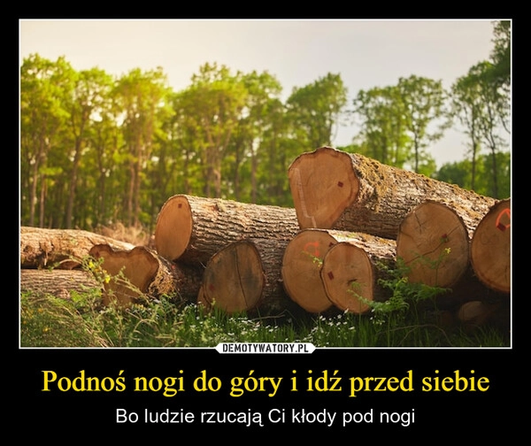 
    Podnoś nogi do góry i idź przed siebie