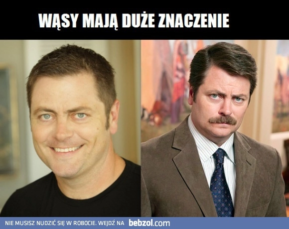 
    Wąsy mają duże znaczenie