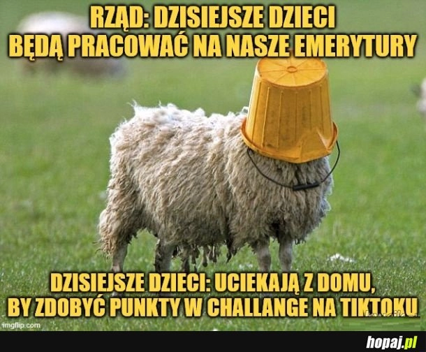 
    Nie będą.