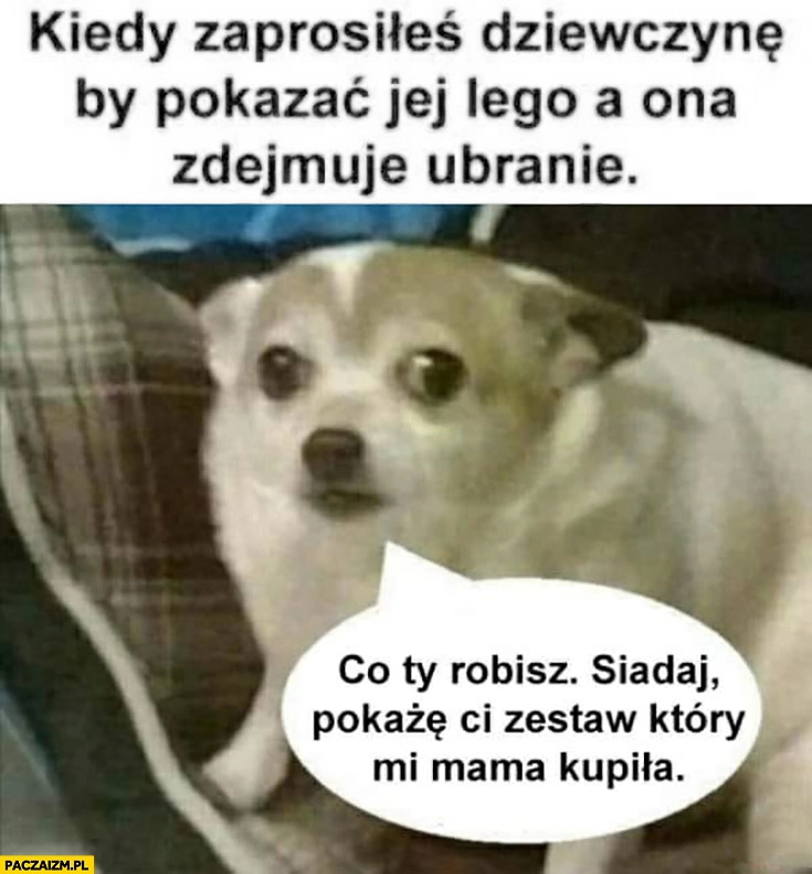 
    Kiedy zaprosiłeś dziewczynę by pokazać jej LEGO a ona zdejmuje ubranie, pies co Ty robisz siadaj pokażę Ci zestaw który mi mama kupiła