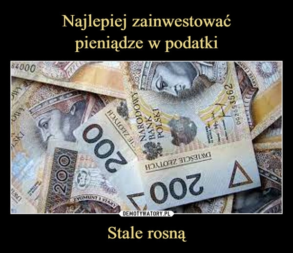 
    Najlepiej zainwestować
pieniądze w podatki Stale rosną