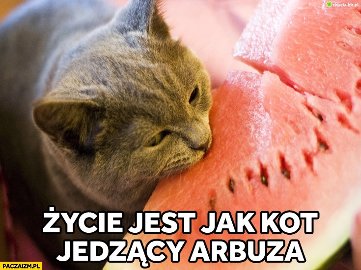 
    Życie jest jak kot jedzący arbuza