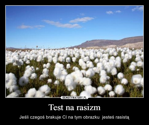 
    Test na rasizm