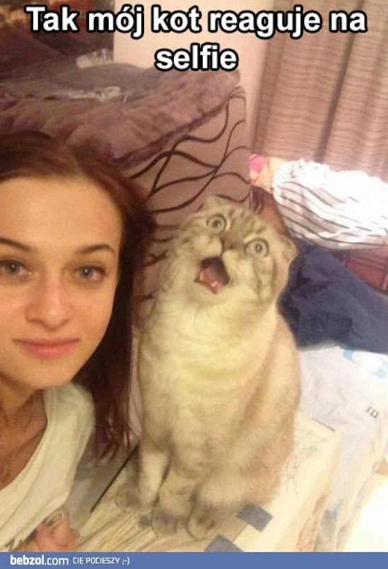 
    Selfie z kotem