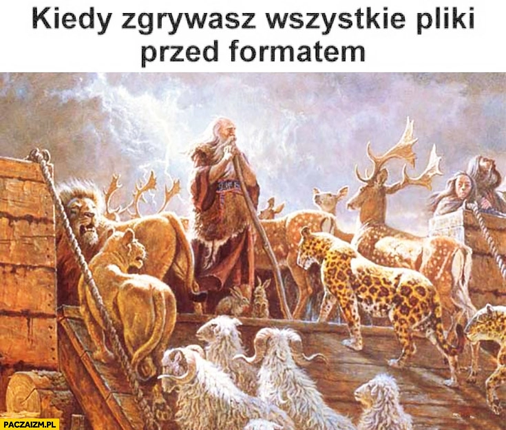 
    Kiedy zgrywasz wszystkie pliki przed formatem zwierzęta wchodzą na Arkę Noego