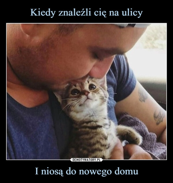 
    Kiedy znaleźli cię na ulicy I niosą do nowego domu